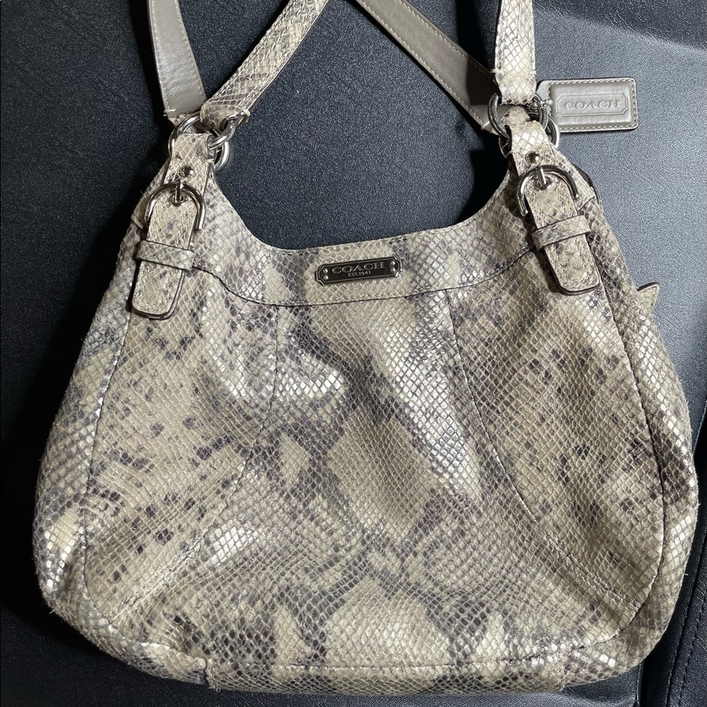 Rare Coach Python Medium Size Purse - Picture 4 of 7